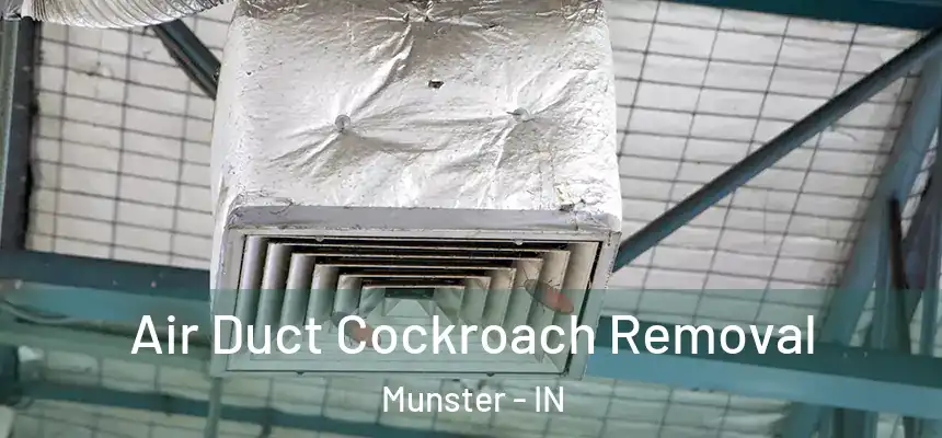  Air Duct Cockroach Removal Munster - IN