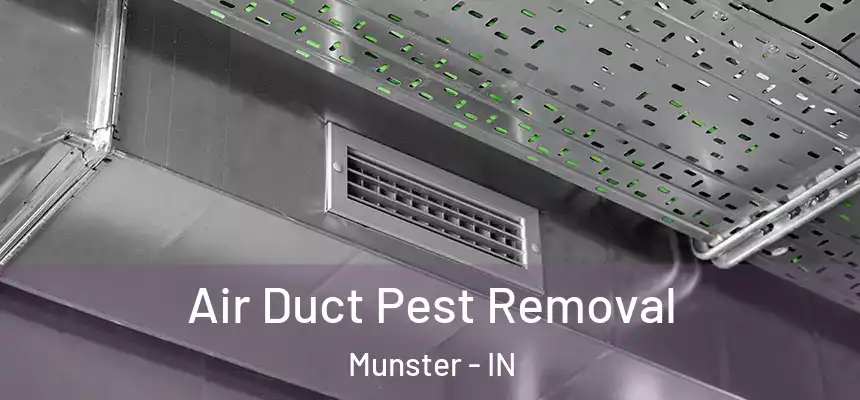  Air Duct Pest Removal Munster - IN