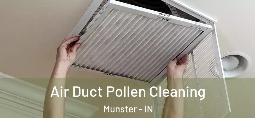  Air Duct Pollen Cleaning Munster - IN