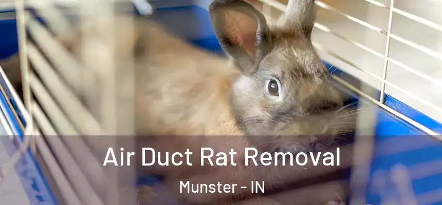 Air Duct Rat Removal Munster - IN