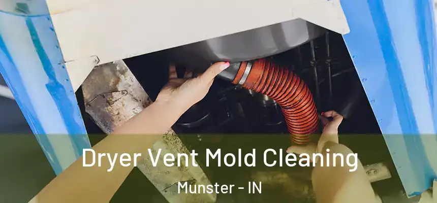 Dryer Vent Mold Cleaning Munster - IN