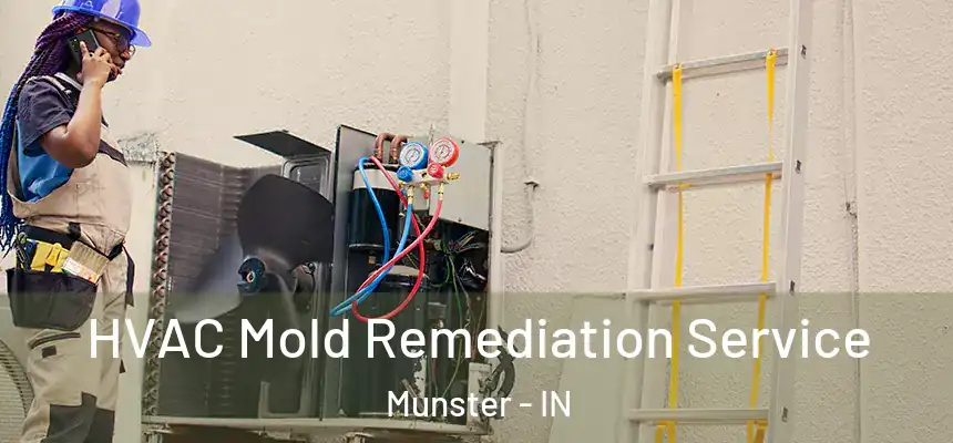  HVAC Mold Remediation Service Munster - IN