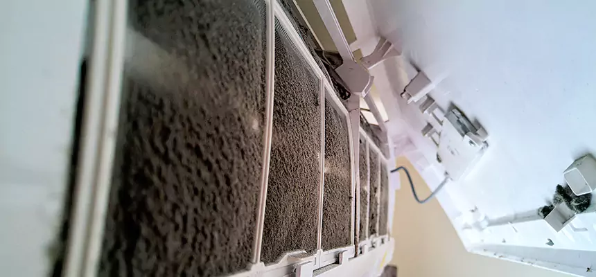 Preventive Air Duct Bacteria Removal in Munster