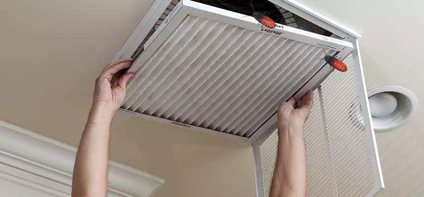 Preventive Cockroach-Proofing for Ducts in Munster