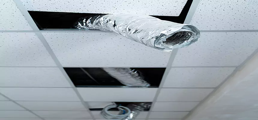 Our Air Duct Pet Hair Removal Services in Munster, IN