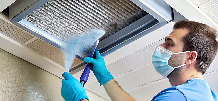Proactive Dryer Vent & Auxiliary Duct Pollen Cleanup in Munster, IN