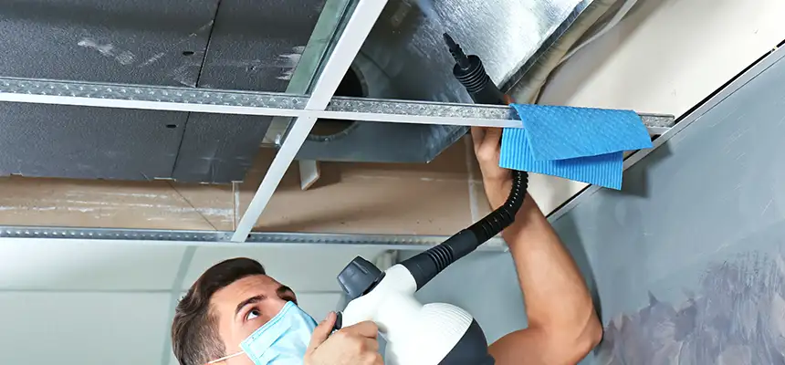 Our Air Duct Rodent Removal Services in Munster, IN
