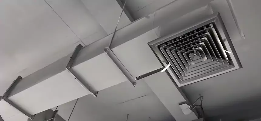 Our Pest Removal From Ducts Services in Munster, IN