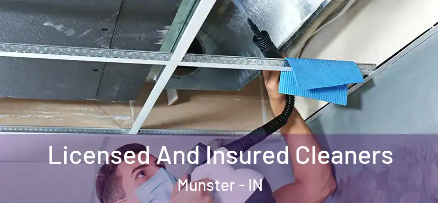  Licensed And Insured Cleaners Munster - IN