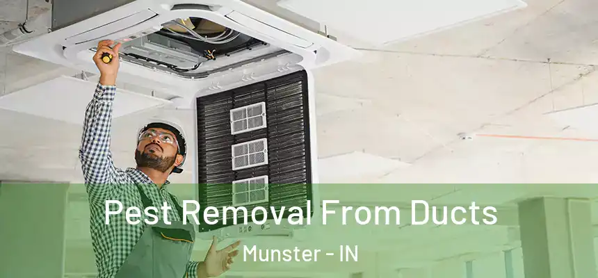 Pest Removal From Ducts Munster - IN