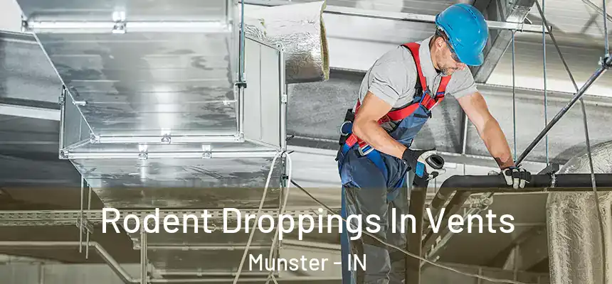 Rodent Droppings In Vents Munster - IN