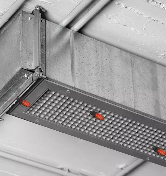 About Air Duct Cockroach Removal in Munster, IN