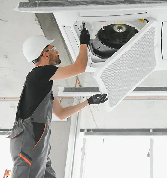 About Air Duct Rodent Removal in Munster, IN