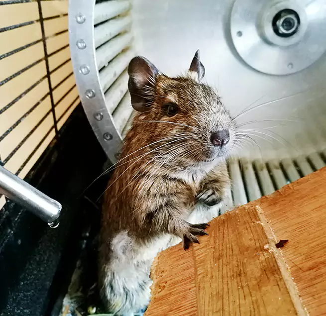 Why Homeowners & Businesses Trust Us Munster, IN